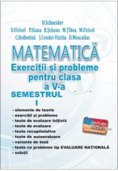 Matematica-Exercitii si probleme pentru clasa a V-a - Semestrul I